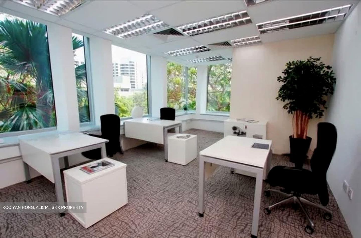 Thong Teck Building (D9), Office #580612771